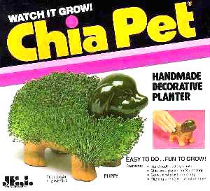 Chia Pet