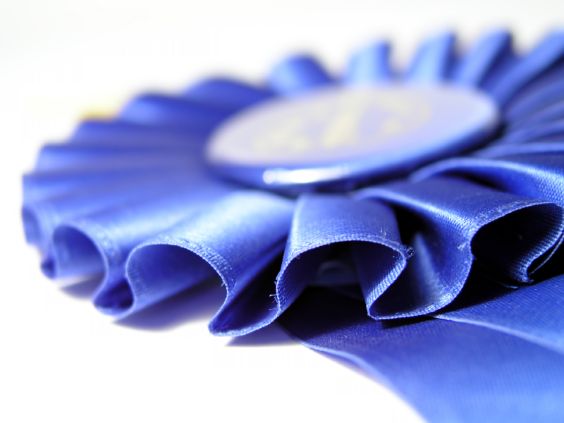 blue-ribbon.jpg