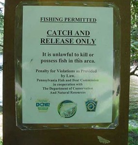 catch-and-release-only