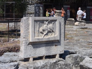 IMG_0120